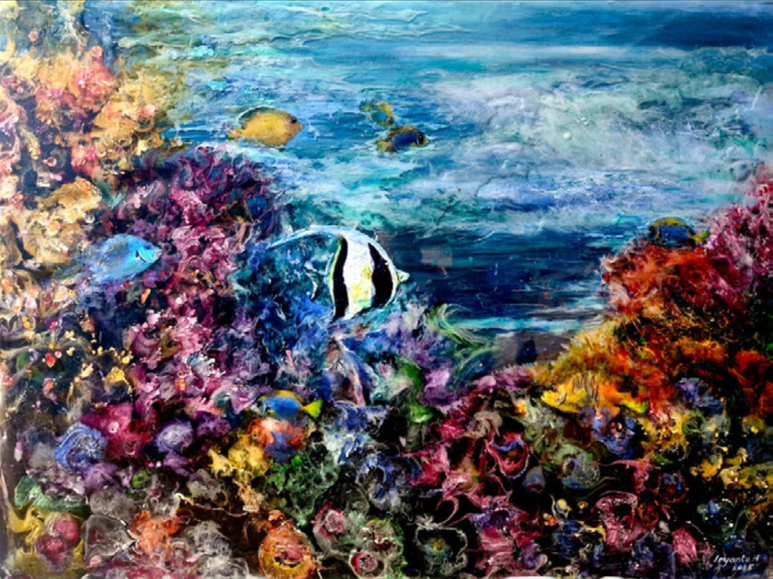 Wonder Coral