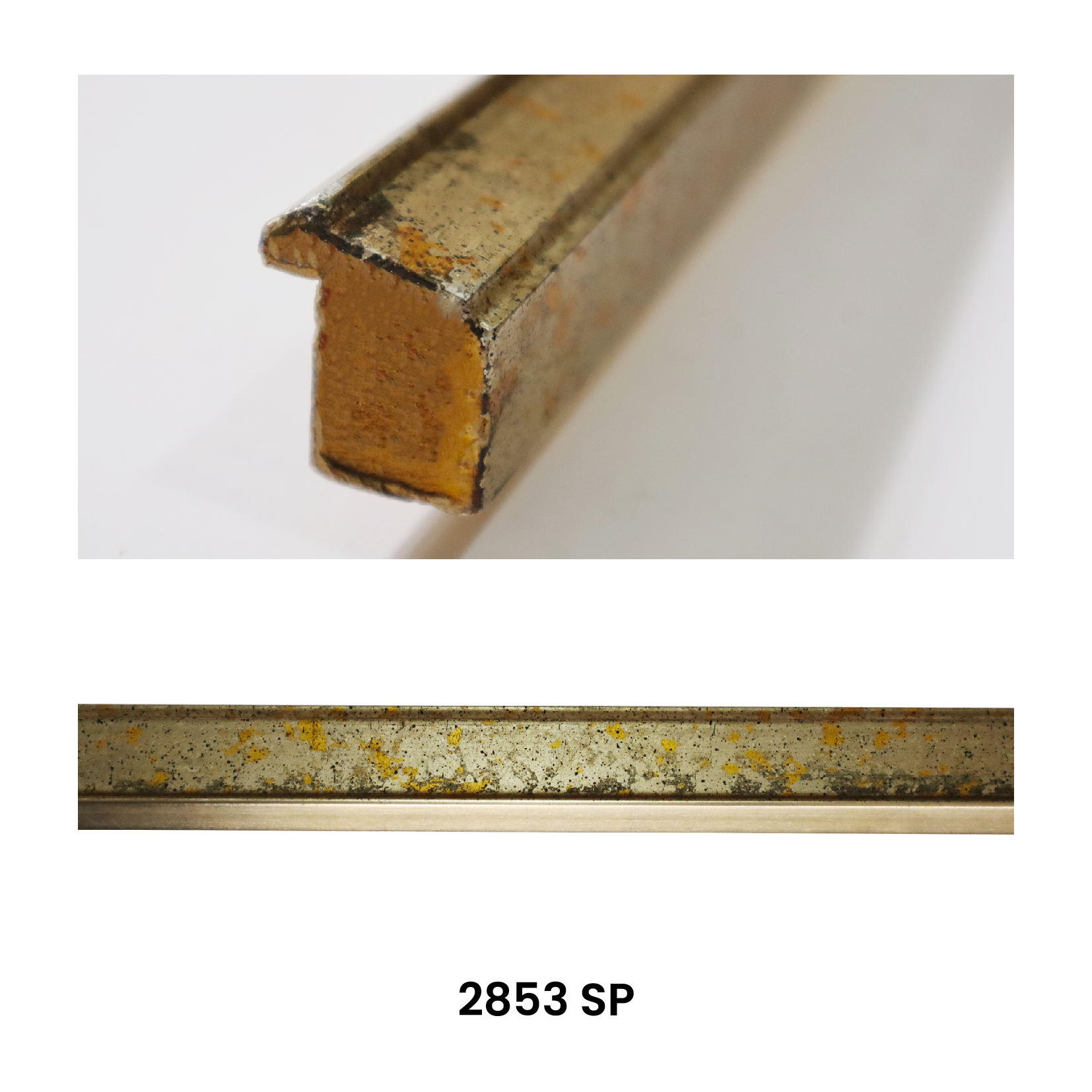 Frame 2853 SP
