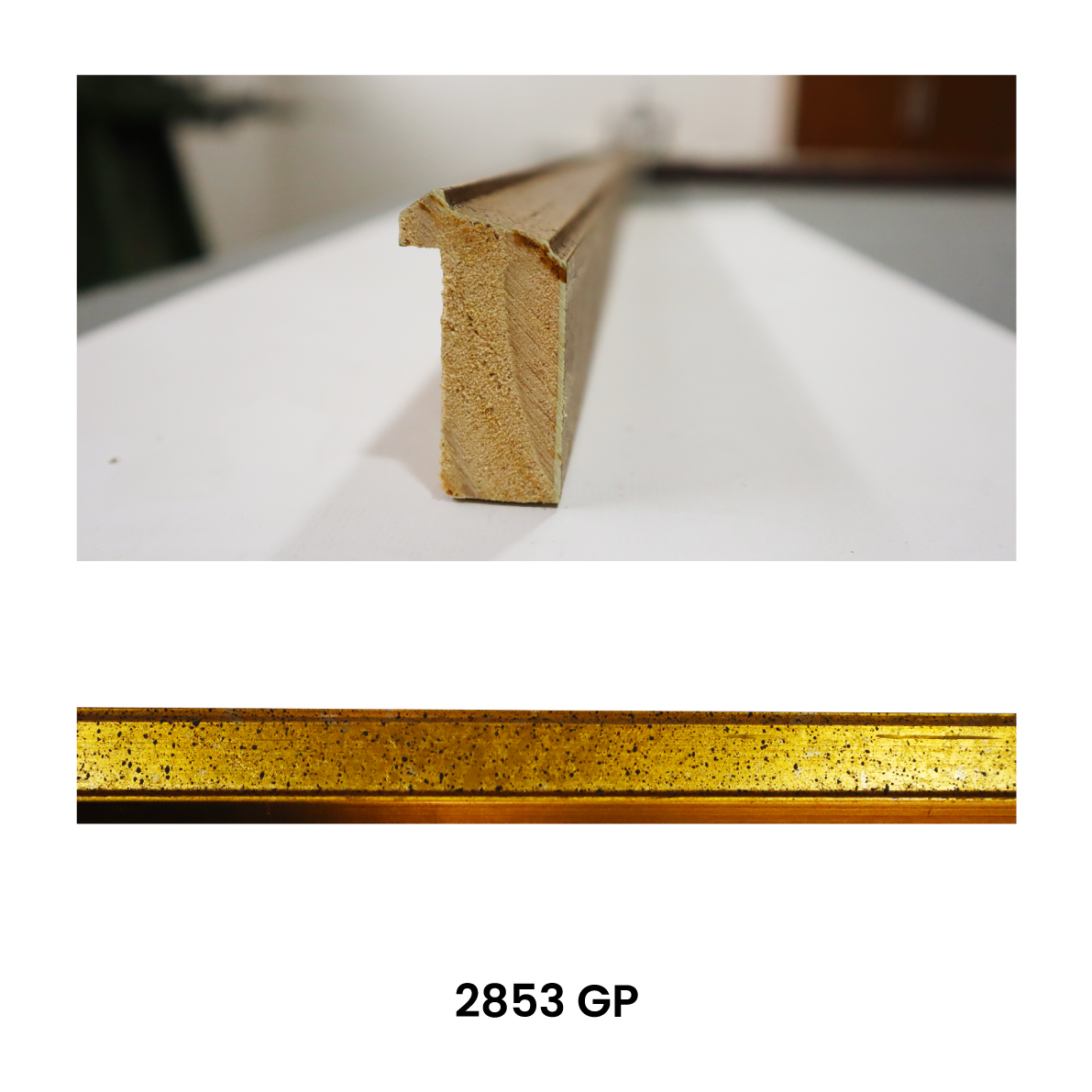 Frame 2853 GP